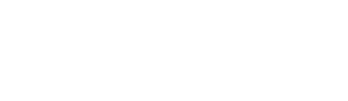 Image Pro Systems